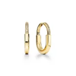 Lock earrings