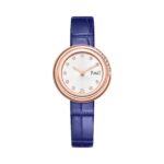 Possession Watch zircon