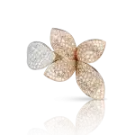 Garden ring