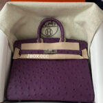 Birkin 25