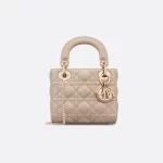Mini lady Dior