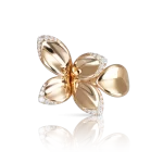 Garden ring